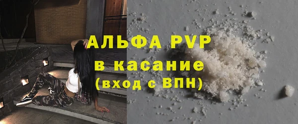 стаф Новодвинск