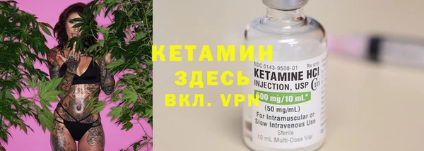 стаф Новодвинск
