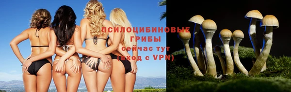 стаф Новодвинск