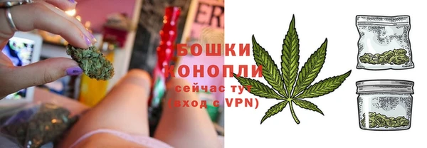 стаф Новодвинск