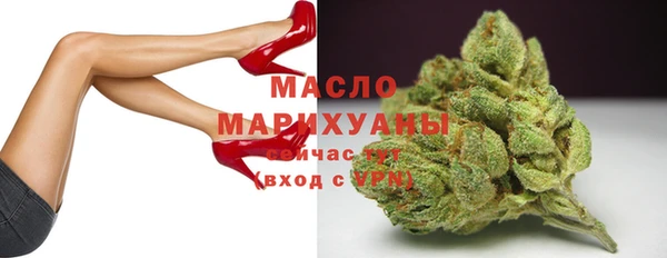 стаф Новодвинск