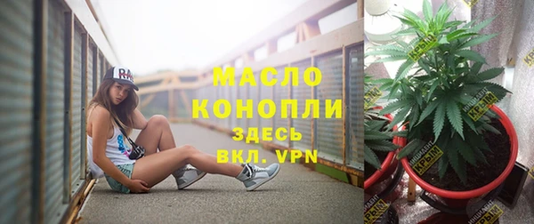 стаф Новодвинск