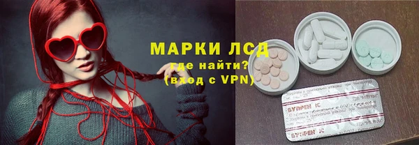 стаф Новодвинск