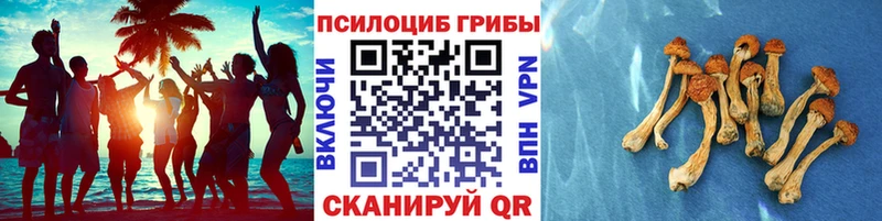 Галлюциногенные грибы прущие грибы  наркота  Нижнеудинск 