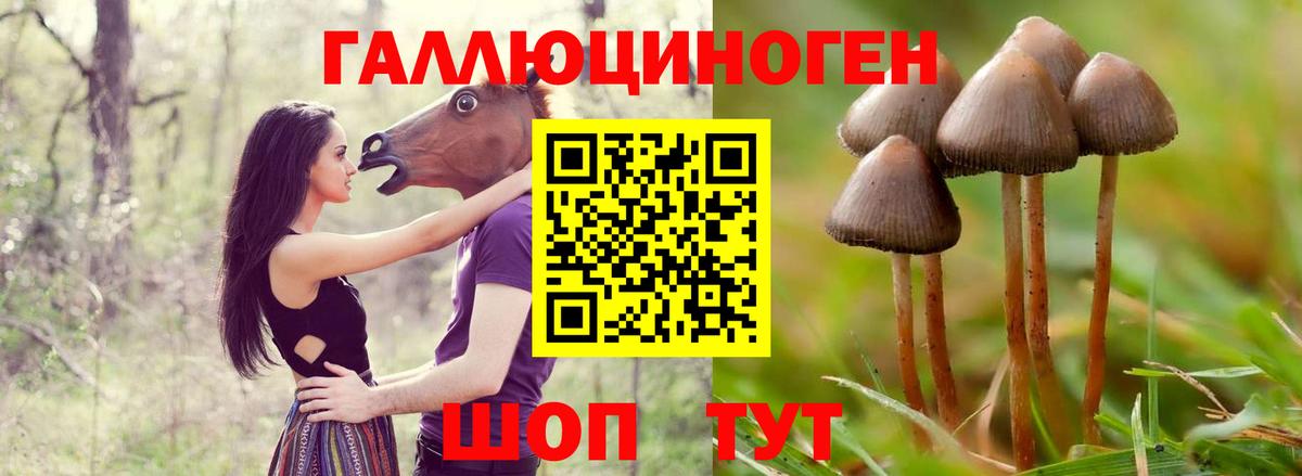 Галлюциногенные грибы MAGIC MUSHROOMS Нижнеудинск